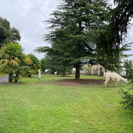 Gite 2chambres 2 Salles De Bain, Logement Entier En Rez De Jardin, Entree Privee Bed & Breakfast Sarlat